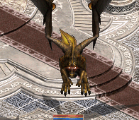 土龍.gif